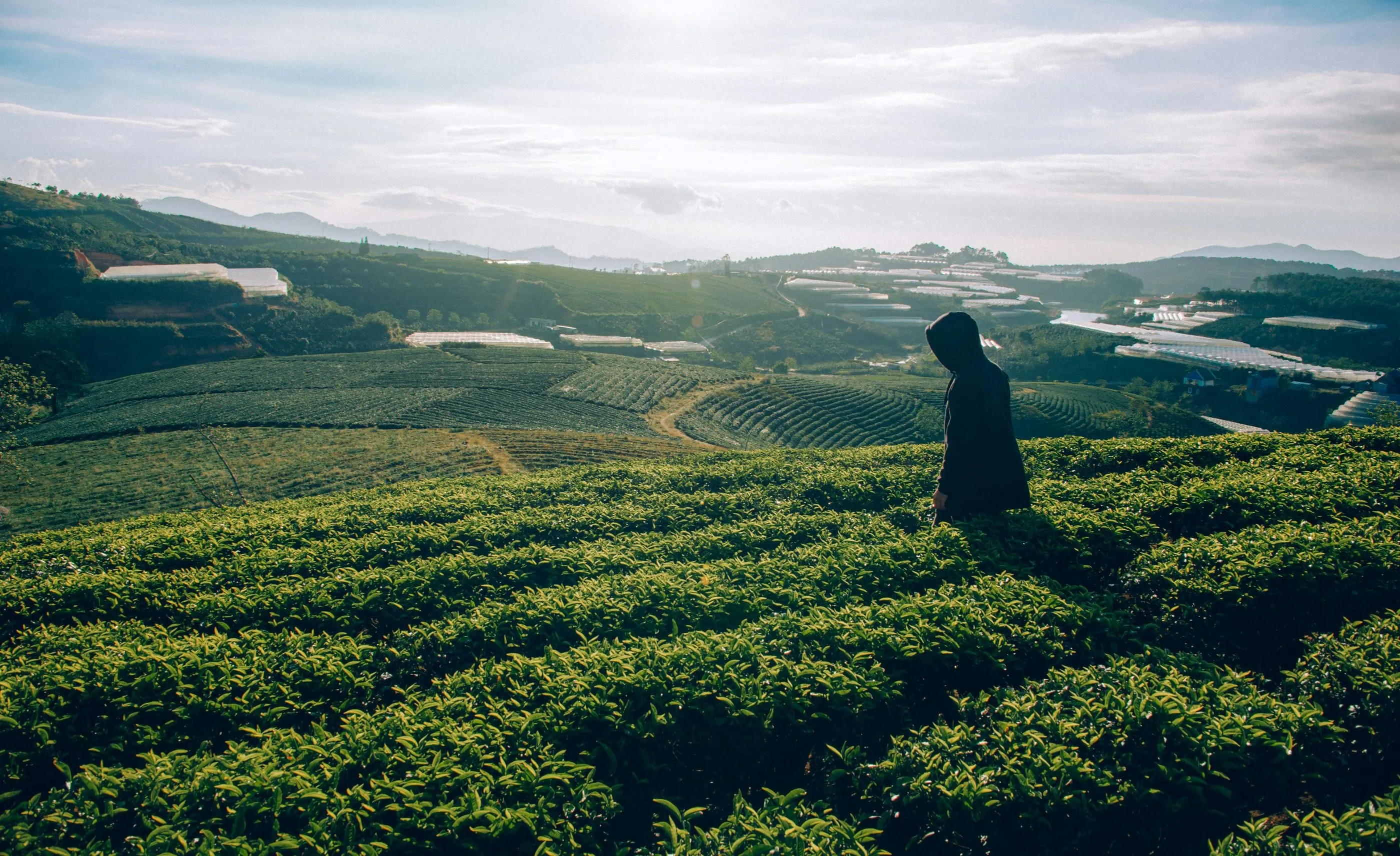 Taxi Service in Coorg